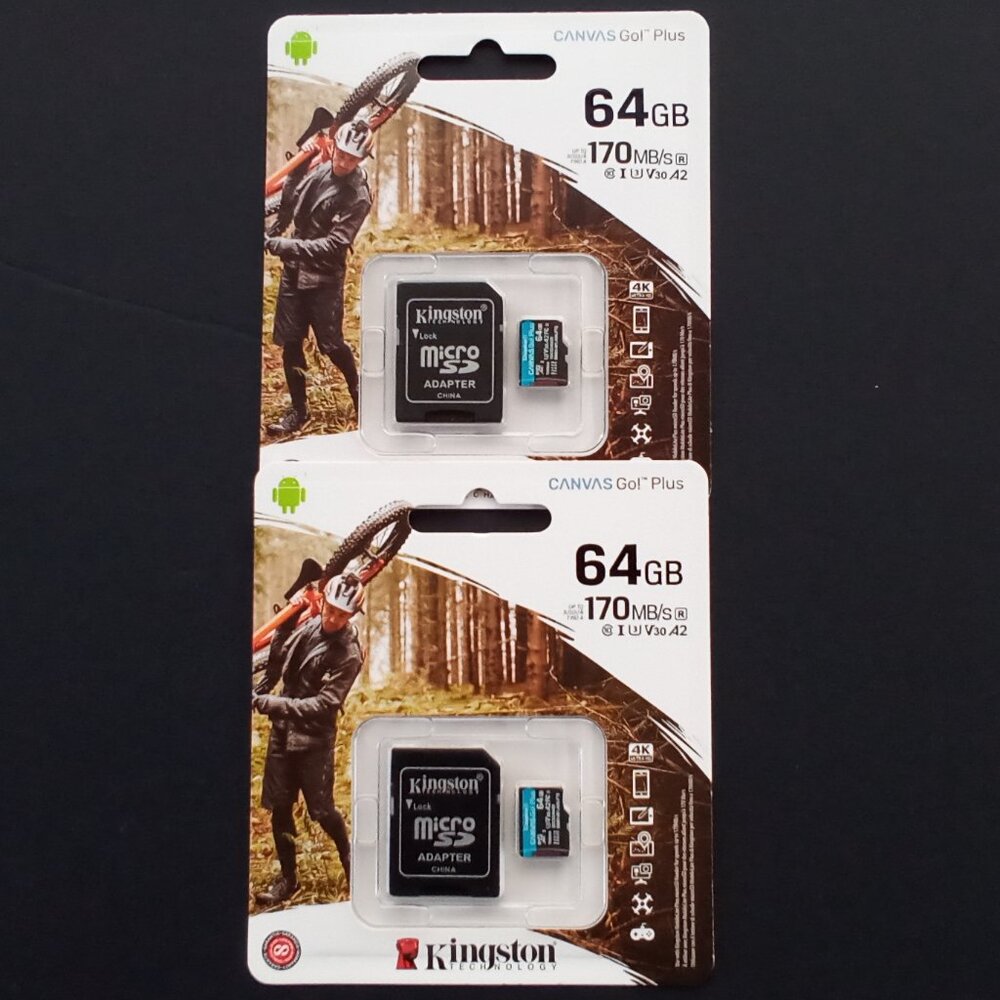 Kingston Technology Canvas Go Plus 64GB Class 10, UHS-I, U3, V30, A2 Micro Card